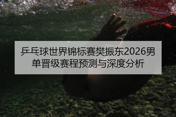 乒乓球世界锦标赛樊振东2026男单晋级赛程预测与深度分析